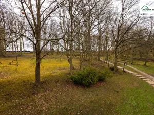Pronájem bytu 3+1, Cheb, Dvořákova, 67 m2