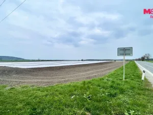 Prodej pole, Starý Vestec, 48734 m2
