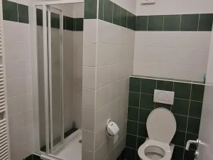 Pronájem ordinace, Opava - Předměstí, Těšínská, 140 m2