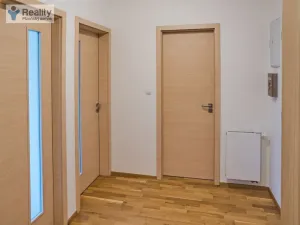 Pronájem bytu 2+kk, Plzeň - Severní Předměstí, Lidická, 66 m2