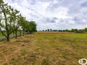 Prodej zemědělské usedlosti, Mokrovousy, 212 m2