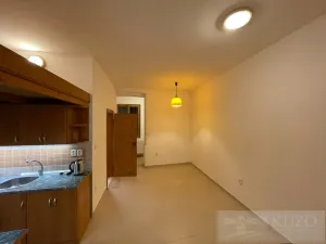 Pronájem bytu 1+kk, Plzeň - Jižní Předměstí, Borská, 30 m2