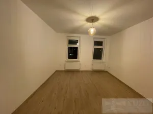 Pronájem bytu 1+kk, Plzeň - Jižní Předměstí, Borská, 30 m2