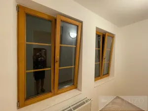 Pronájem bytu 1+kk, Plzeň - Jižní Předměstí, Borská, 30 m2