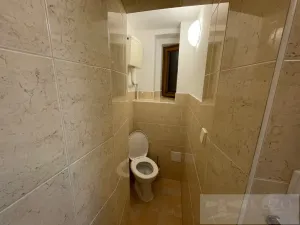 Pronájem bytu 1+kk, Plzeň - Jižní Předměstí, Borská, 30 m2