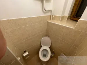 Pronájem bytu 2+kk, Plzeň - Jižní Předměstí, Borská, 45 m2
