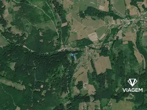 Prodej lesa, Mikulůvka, 3828 m2