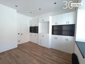 Pronájem bytu 2+kk, Zlín, Rašínova, 60 m2
