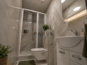 Prodej bytu 1+kk, Plzeň - Jižní Předměstí, U Borského parku, 21 m2