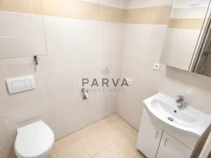 Pronájem bytu 1+kk, Plzeň - Jižní Předměstí, Nemocniční, 30 m2