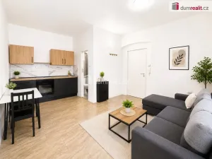 Pronájem bytu 1+kk, Ústí nad Labem - Ústí nad Labem-centrum, Emy Destinové, 21 m2