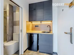 Prodej bytu 1+kk, Praha - Vokovice, Evropská, 24 m2