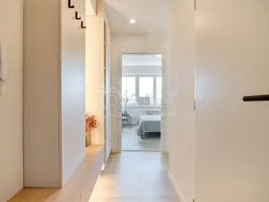 Prodej bytu 3+kk, Ostrava - Poruba, Aleše Hrdličky, 41 m2
