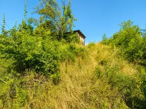 Prodej bytu 3+1, Šternberk, Vinohradská, 121 m2