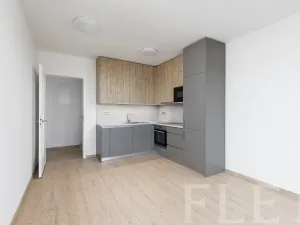 Pronájem bytu 2+kk, Praha - Řeporyje, Haenkeho, 47 m2