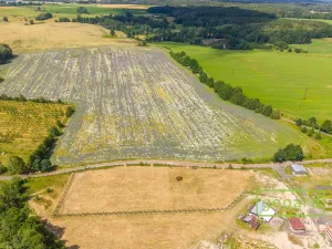 Prodej pozemku pro bydlení, Františkovy Lázně - Krapice, 1126 m2