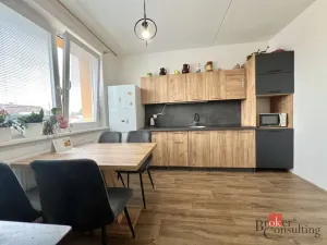 Prodej bytu 1+1, Jirkov, Smetanovy sady, 40 m2
