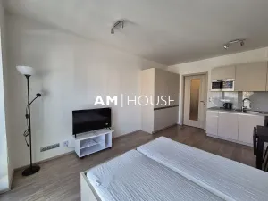 Pronájem bytu 1+kk, Praha - Vysočany, Bassova, 30 m2