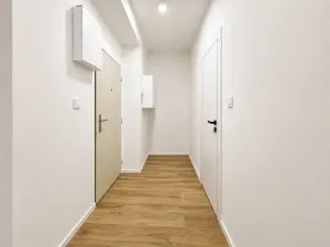Prodej bytu 2+kk, Praha - Vršovice, U Slavie, 44 m2