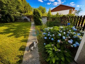 Prodej rodinného domu, Šternberk, Pod Mýtem, 59 m2
