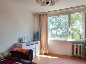 Prodej bytu 1+1, Krupka - Maršov, Karla Čapka, 36 m2