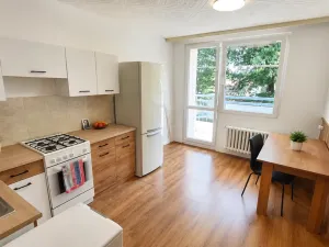 Prodej bytu 1+1, Duchcov, Vrchlického, 34 m2