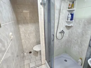 Prodej bytu 1+1, Duchcov, Vrchlického, 34 m2