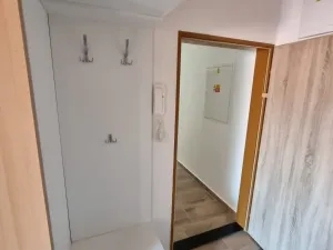 Pronájem bytu 1+kk, Brno, Charbulova, 29 m2