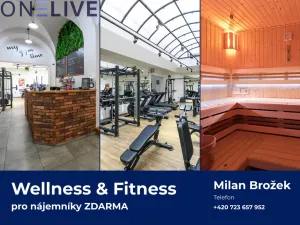 Pronájem kanceláře, Plzeň, Tylova, 40 m2