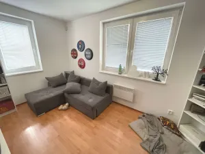 Pronájem rodinného domu, Trnová, 250 m2