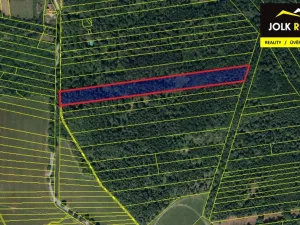 Prodej lesa, Vršovice, 13182 m2
