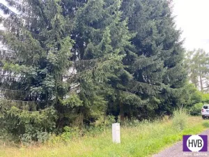 Prodej pozemku pro bydlení, Rotava, Sklenský vrch, 445 m2