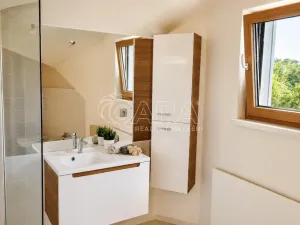 Prodej rodinného domu, Březová-Oleško - Oleško, Východní, 285 m2