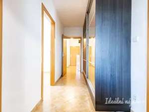 Pronájem bytu 4+1, České Budějovice - České Budějovice 2, Lipová, 96 m2