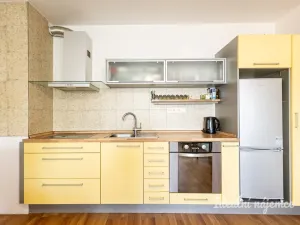 Pronájem bytu 1+1, České Budějovice - České Budějovice 2, Na Zlaté stoce, 45 m2