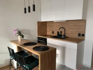 Pronájem bytu 1+kk, Ostrava - Výškovice, Výškovická, 28 m2
