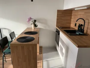 Pronájem bytu 1+kk, Ostrava - Výškovice, Výškovická, 28 m2