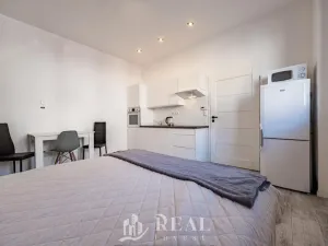 Prodej rodinného domu, Louny, Prokopova, 240 m2
