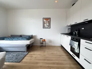 Pronájem bytu 1+kk, Beroun, U Židovského hřbitova, 29 m2