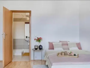 Pronájem bytu 2+kk, Praha - Žižkov, Jeseniova, 45 m2