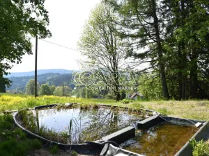 Prodej pozemku pro bydlení, Kořenov - Polubný, 1228 m2