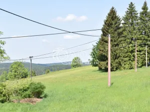 Prodej pozemku pro bydlení, Kořenov - Polubný, 1228 m2
