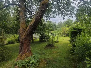 Prodej zahrady, Nejdek, Limnická, 622 m2