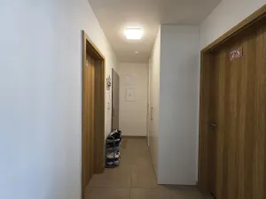 Pronájem bytu 2+kk, Plzeň, Pallova, 46 m2