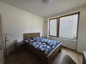 Pronájem bytu 2+kk, Plzeň, Pallova, 46 m2