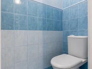 Pronájem bytu 3+1, Brandýsek - Olšany, Olšanská I, 100 m2