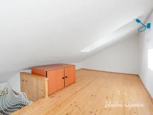 Pronájem bytu 3+1, Brandýsek - Olšany, Olšanská I, 100 m2