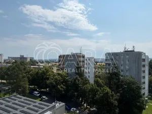 Prodej bytu 2+1, Opava - Předměstí, Nerudova, 63 m2