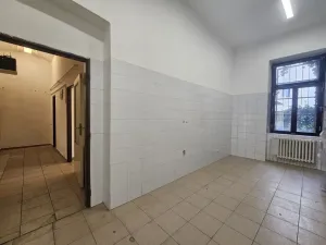 Pronájem obchodního prostoru, Praha, Braunerova, 67 m2