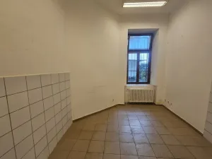 Pronájem obchodního prostoru, Praha, Braunerova, 67 m2